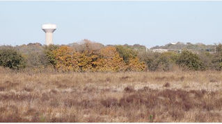 Jerry Jones’ Blue Star Land seeks to buy Frisco Park 25 for Dallas Cowboys merchandising center
