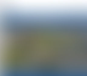 For Lease - Newkirk Street in Dallas.