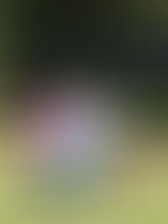 Great time yesterday at the 17th Annual Ken Byrd Cancer Survivor Charity Golf Classic put on by the North Texas Association of Government Guaranteed Lenders (NTAGGL).