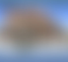 FOR LEASE - 3607 Oak Lawn Ave | Dallas, TX 75219