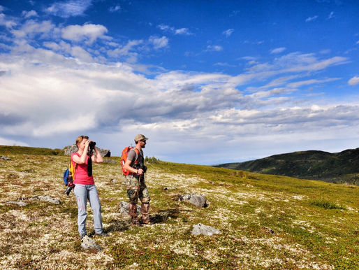 Guided Hiking Tours Near Talkeetna, Alaska