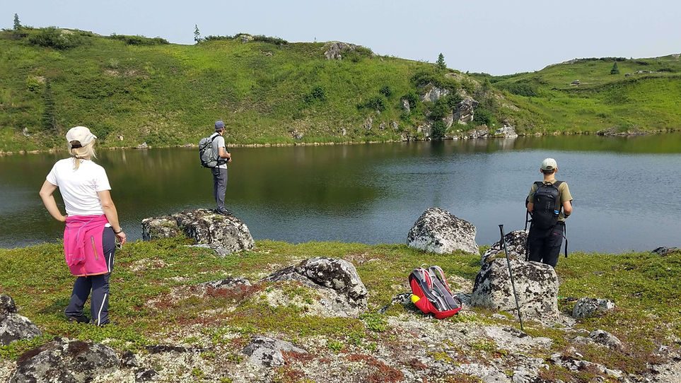 Taking clients out hiking from Caribou Lodge. Guided hiking near Talkeetna at it's best!