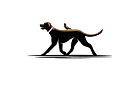 freedog-austin-walking2-image crop.jpeg