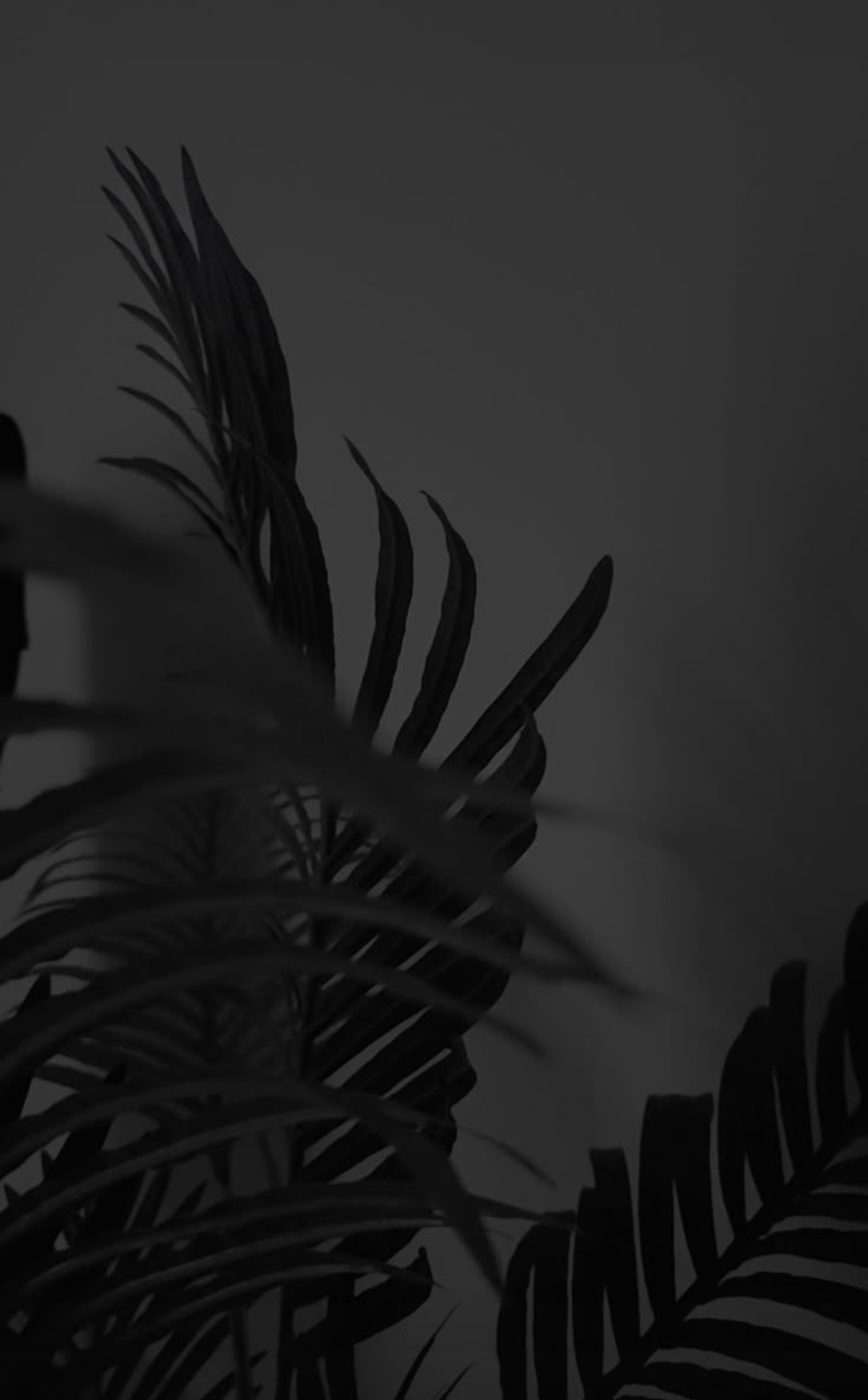 Screenshot_20250714_195651_Pinterest.png