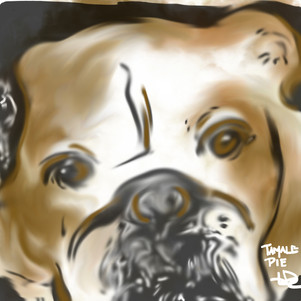 Dog Angel - January 6, 2021.jpg