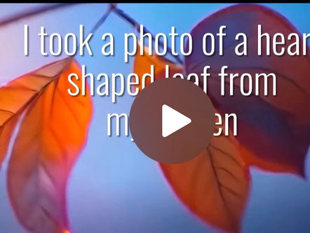 The Poetry of Falling Leaves in Runway... Generative AI