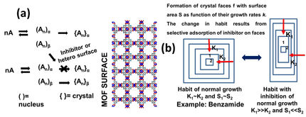 Morphology change with hetero surface