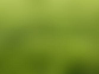 Why This Wet & Cool Spring is a Double-Edged Sword for Your Bermuda Lawn