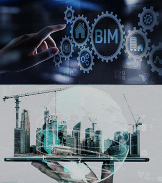BIm A.jpg
