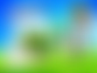 <2025新茶まつり>開催のお知らせ