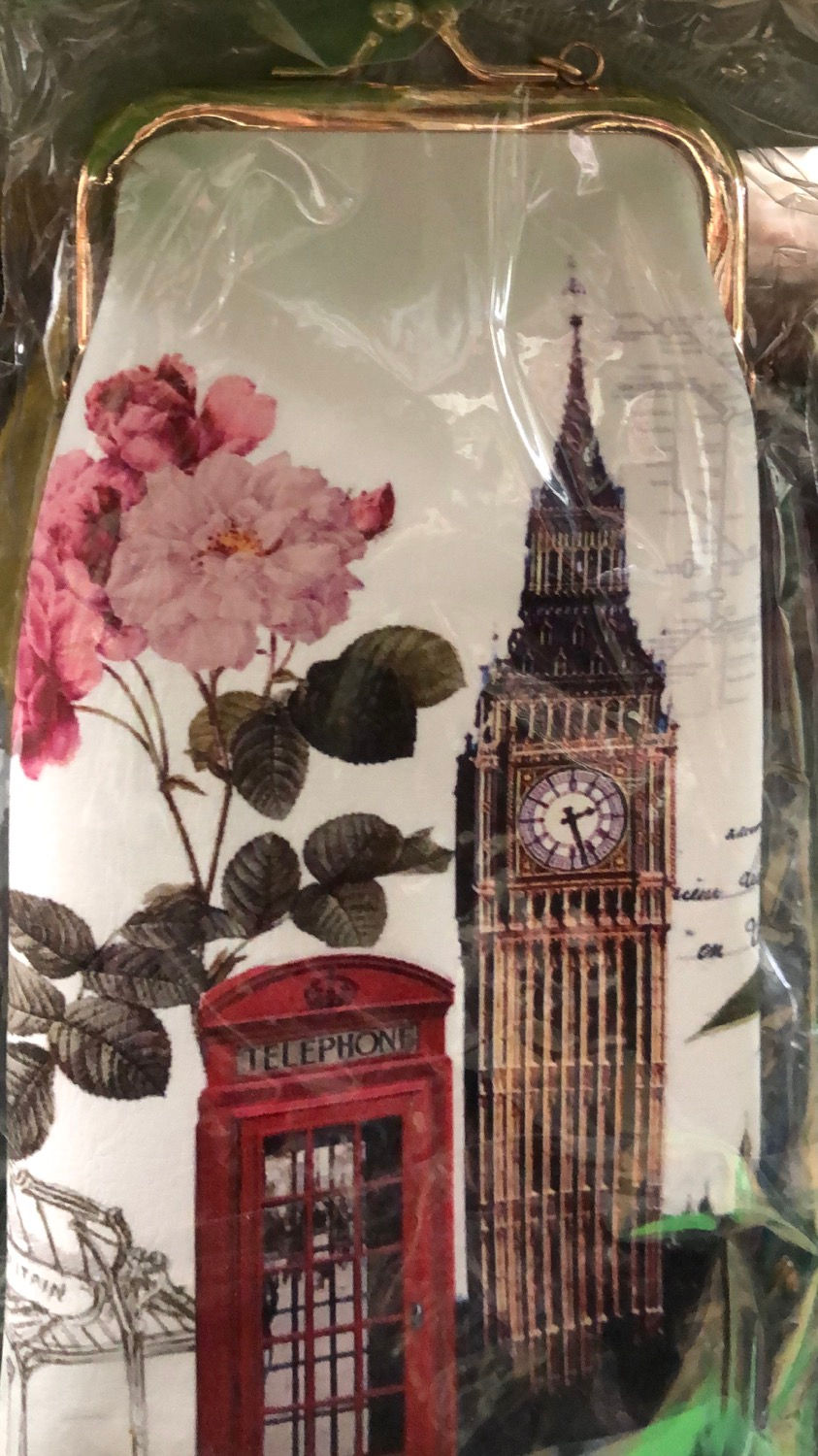 Beautiful Eye Glass Case