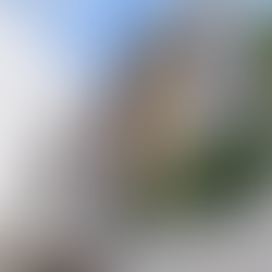 Réalisation à St-Didier-au-Mont-d’Or : 40 ML de réseau calorifugé et 54 points singuliers isolés en chaufferie.