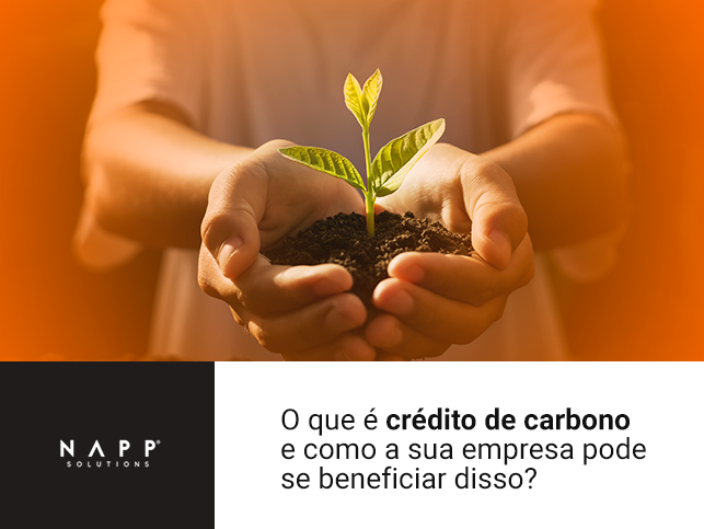 Credito de carbono