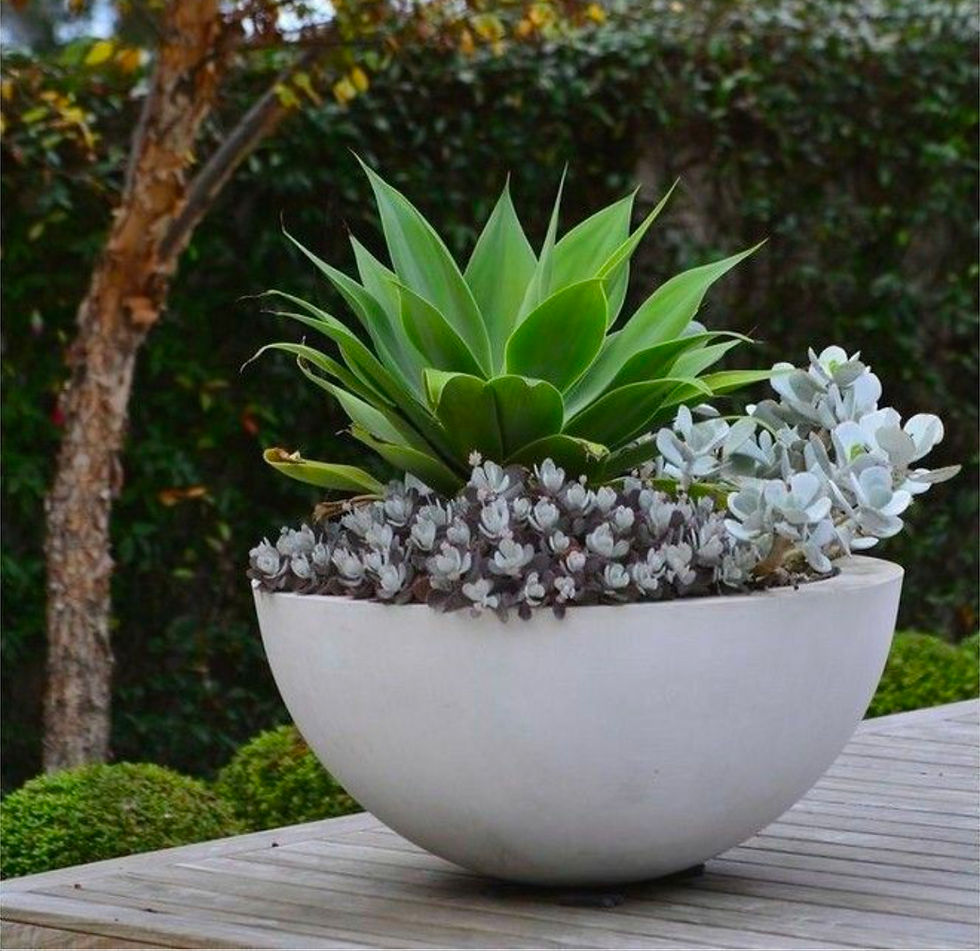 Miniature : Demie boule 52cm diamètre 