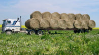 Calculating the Value of Hay Based on Moisture Content
