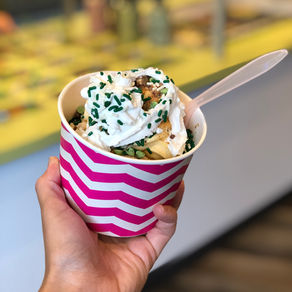 Froyo -- Muskegon, Mich.