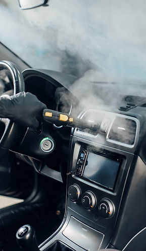 Interior Steam Detailing