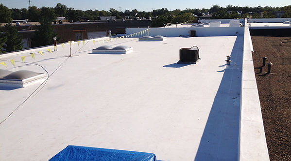 Nashua Court Essex MD .jpg