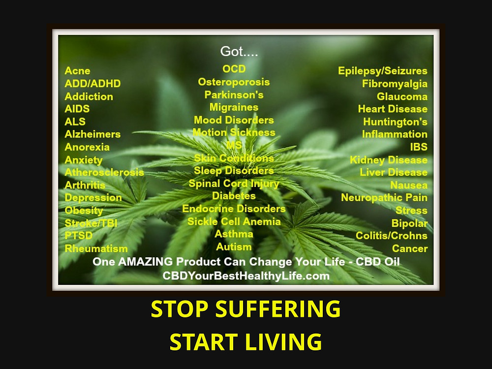 Got....| Living Your Best Healthy Life