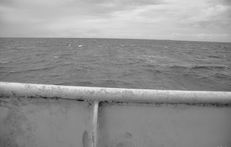 DSC_1911_2.JPG