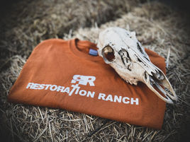 RR orange tshirt edited.jpg