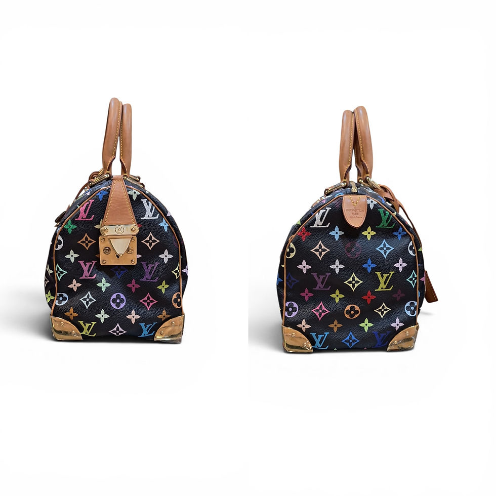 Thumbnail: Louis Vuitton Multicolor Speedy