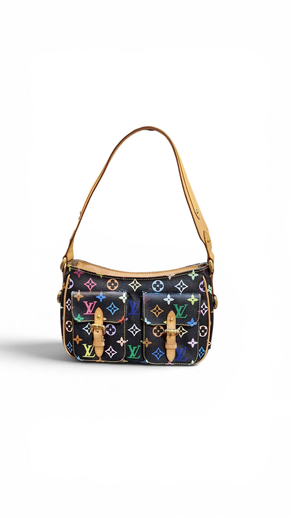 Louis Vuitton Multicolor Lodge PM