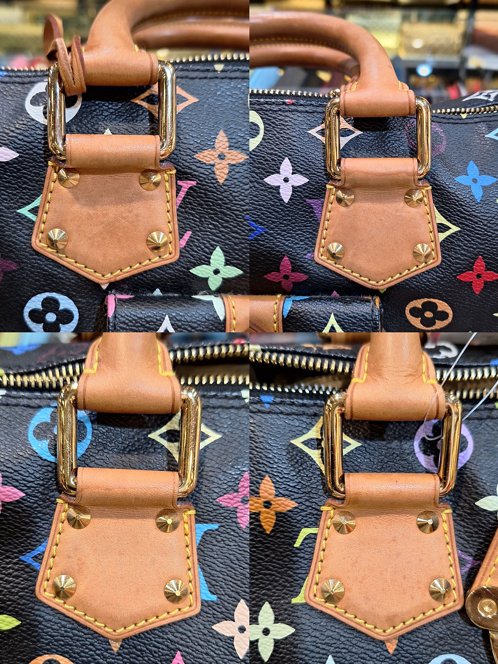 Thumbnail: Louis Vuitton Multicolor Speedy