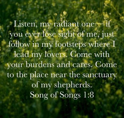 August 29, 2023 - Song of Songs 1:8