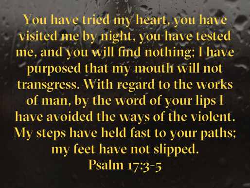 May 23, 2025 - Psalm‬ ‭17‬:‭3‬-‭5