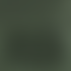 January 30, 2025 - Luke 23:33-34