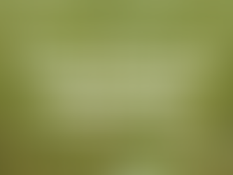 April 9, 2022 - Proverbs 12:11a