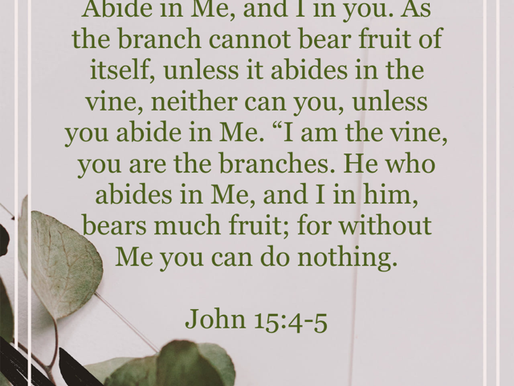 August 27, 2022 - John 15:4-5