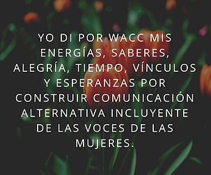 wacc (4).png