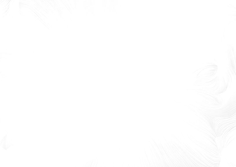 Website Background_edited.jpg