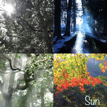 28.陽のあたる裏側のヒカリ_sun.jpeg
