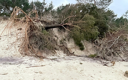 Am Zempiner Strand