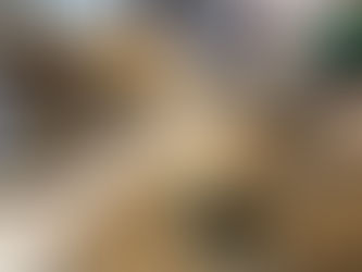 Vege/Meat Pie with Rice Crust --                   Cool Recipe Option