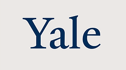 yale in gray box_0.png