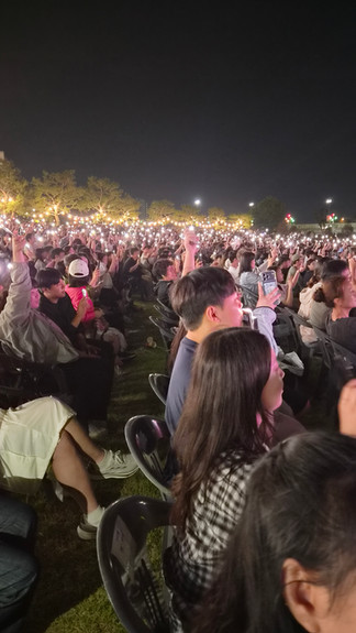 The crowd