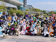 Furry Joa