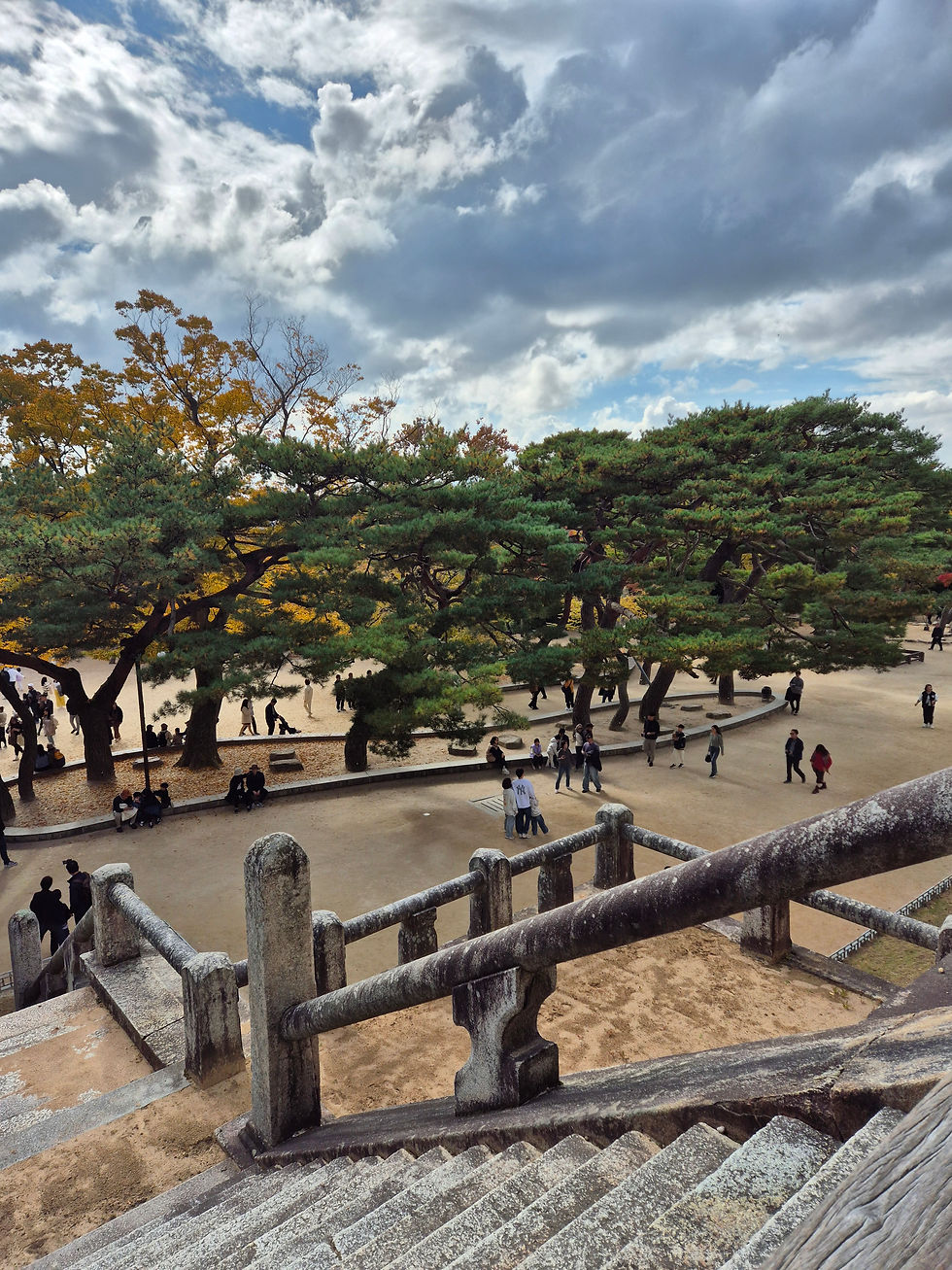 View from the main stairs of the main pavilion of Bulguksa.