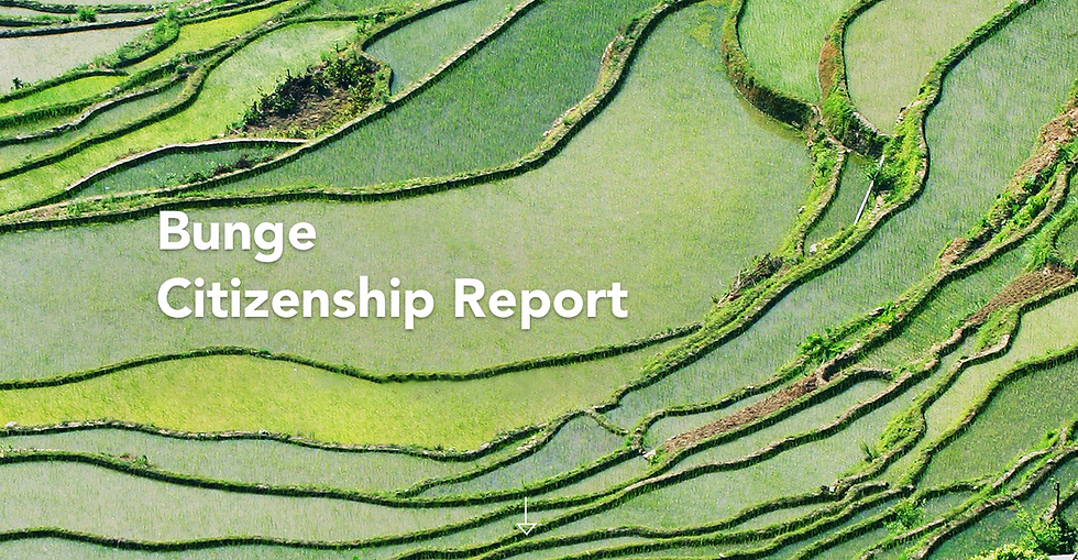 CEO letter landing page.png