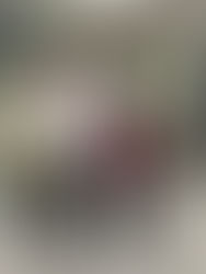 Interview at CBC with Mark Connolly