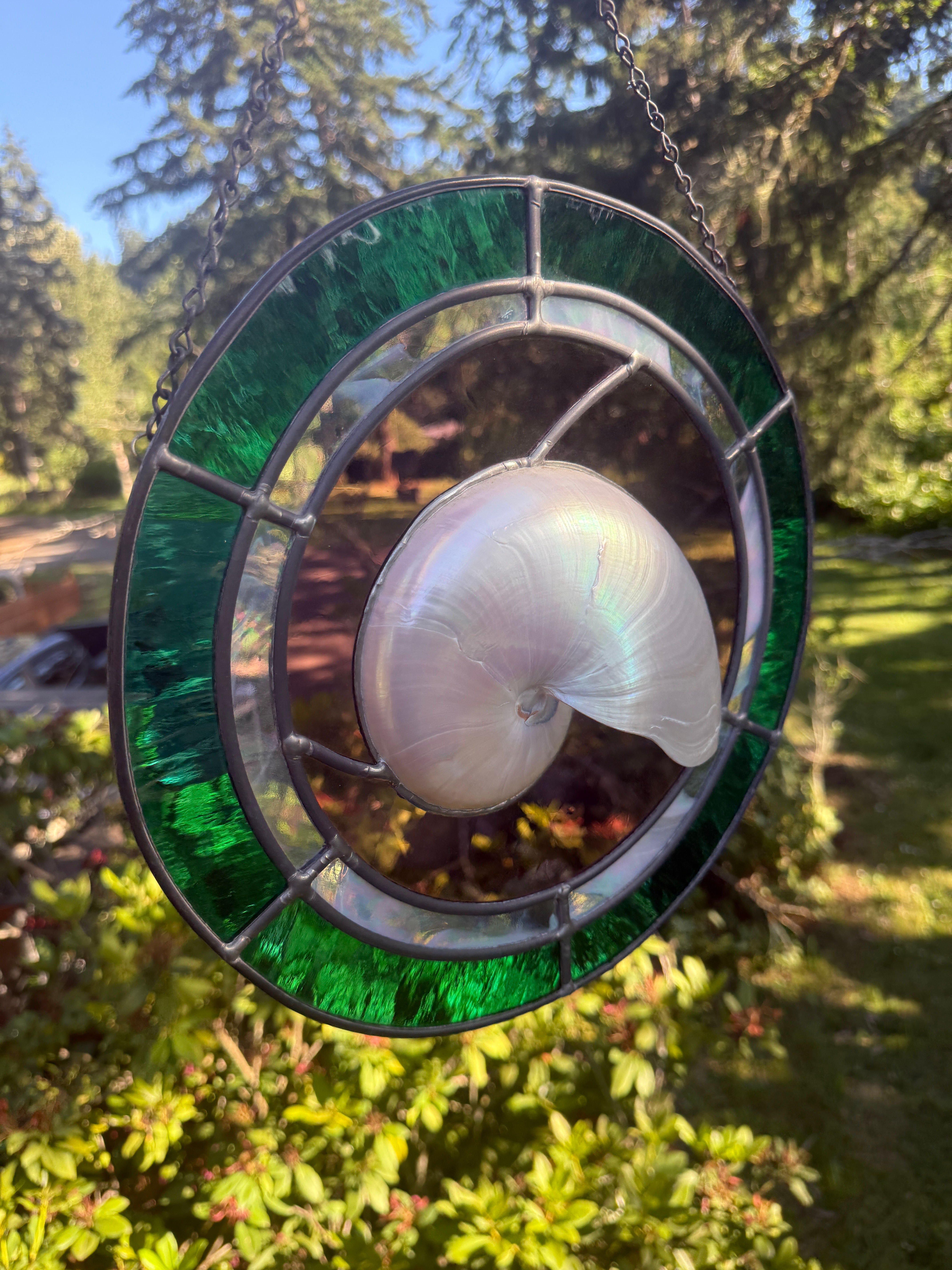 Ocean Shell in Beautifully Created Stained Glass