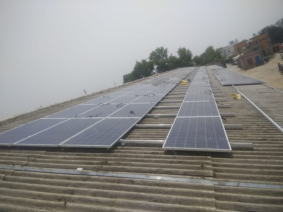 CHAMPION RESEARCH & BREEDING FARMS