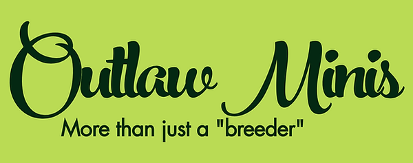 Screenshot 2026-03-22 at 1.03.18 PM.png