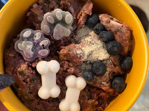 It Starts With the Gut And Science Is Finally Catching Up