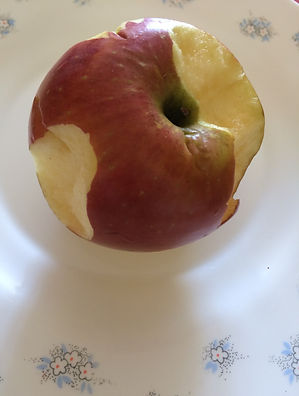 IMG-9941.JPG.jpg