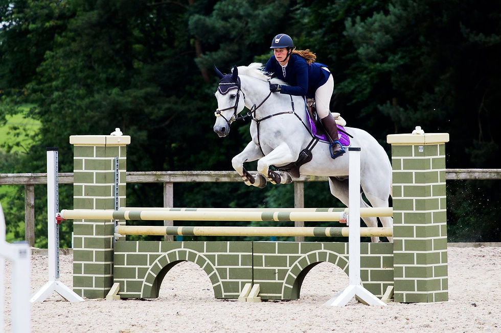 JCH Sport Horses